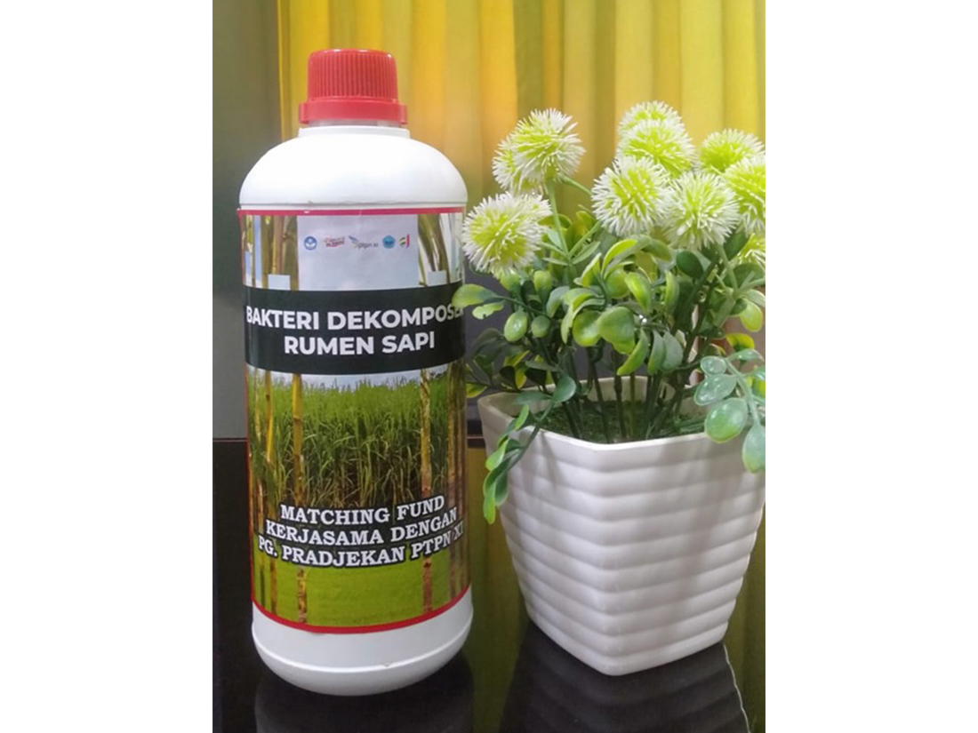 gambar basiscrop